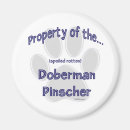 Recherche de dobermann pinscher magnete Dobère