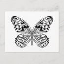 Recherche de graphique papillon cartes postales Motif