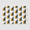 Recherche de chat et citrouille Halloween