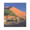 Recherche de dunes de sable blocsnotes Aride