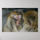 Recherche de fée de dent art Dentiste