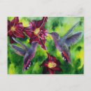 Recherche de colibri coloré cartes postales Jardin
