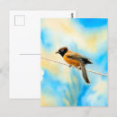 Recherche de oiseaux colorés cartes postales Nature