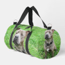 Recherche de adulte sacs Dog