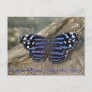 Recherche de mexicain cartes postales Papillon