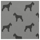Recherche de schnauzer géant Chien