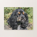 Recherche de cocker spaniel puzzles Noir