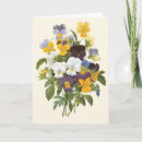 Zoek naar pansy kaarten Bloemen