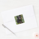 Zoek naar welp stickers Wilde dieren