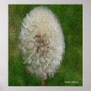 Recherche de dandelion posters Pour tous