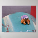 Recherche de félin posters Animal