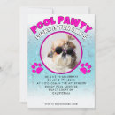 Recherche de canine invitations Chiot