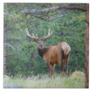 Recherche de rocheux carreaux Colorado