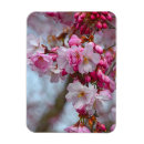 Recherche de fleurs roses magnets Pétales