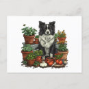 Recherche de potager cartes postales Vert