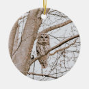 Recherche de audubon ornements Faune