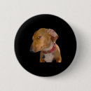 Recherche de confiserie badges Drôle