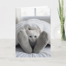 Zoek naar dekbed posters Kat