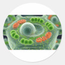 Recherche de microscoop autocollants Biologie