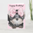 Recherche de yorkshire terrier dog anniversaire cartes Chiot