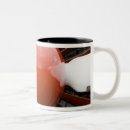 Recherche de propulseur tasses Vengeur