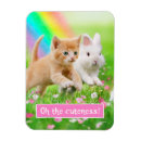 Zoek naar plus magnete Schattig