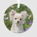 Zoek naar longen ornamenten Grappig