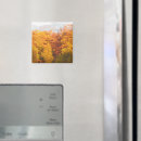 Recherche de rampement magnets Pour tous