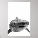 Recherche de requin baleine art Océan