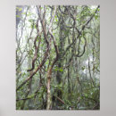 Recherche de confusion posters Nature