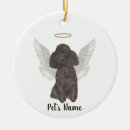 Recherche de caniche standard animaux articles Noir