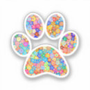 Recherche de chiot blanc Patte