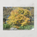 Recherche de midwest cartes postales Automne