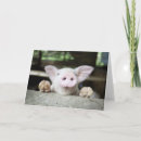 Recherche de cochon vœux cartes Bébé