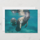 Recherche de côte du golfe vœux cartes Floride