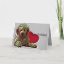 Recherche de happy birthday goldendoodle Labradoodle