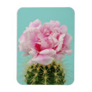 Recherche de places magnets Nature