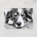 Recherche de cooley cartes visite Dog