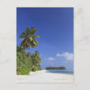Recherche de îles maldives cartes postales Vacances
