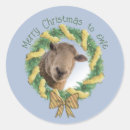 Zoek naar grappige schapen stickers Kerstmis