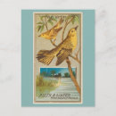 Recherche de siffleur cartes postales Oiseau