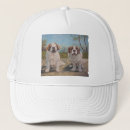 Recherche de saint bernard accessoires Animaux domestiques
