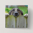 Zoek naar duitse herders buttons Schattig