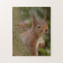 Recherche de écureuil puzzles Arbre