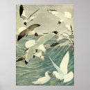Recherche de oiseau mer posters Nature