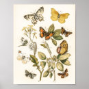 Recherche de vintage butterfly posters Beautiful