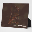 Recherche de squelette plaques Pour tous