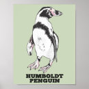 Zoek naar pinguin posters Vogel