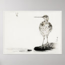 Zoek naar écologie art Wilde dieren