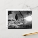 Recherche de rayons x cartes postales Horreur